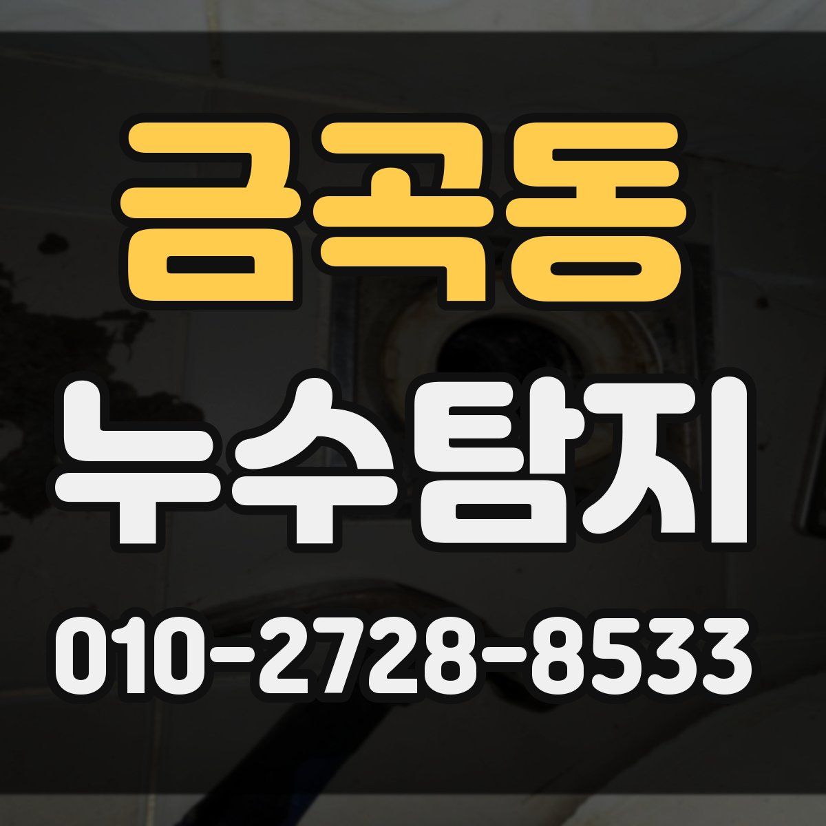 금곡동 누수탐지