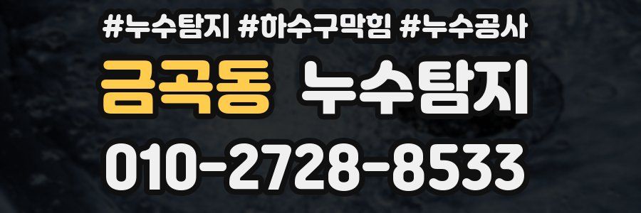 금곡동 누수탐지업체