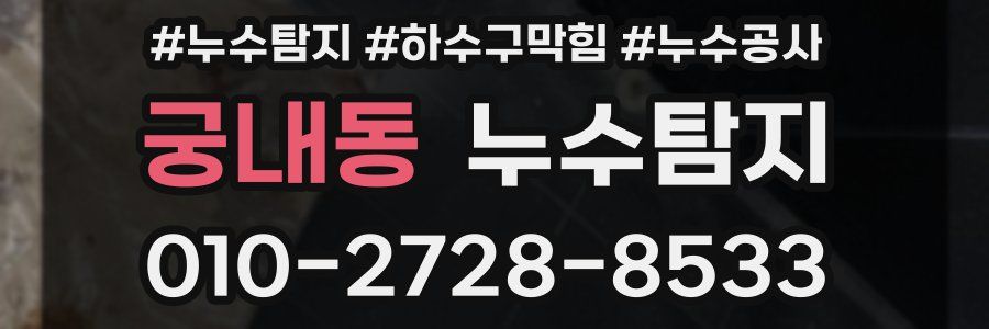 궁내동 누수탐지업체
