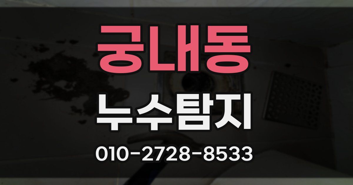 궁내동 누수공사