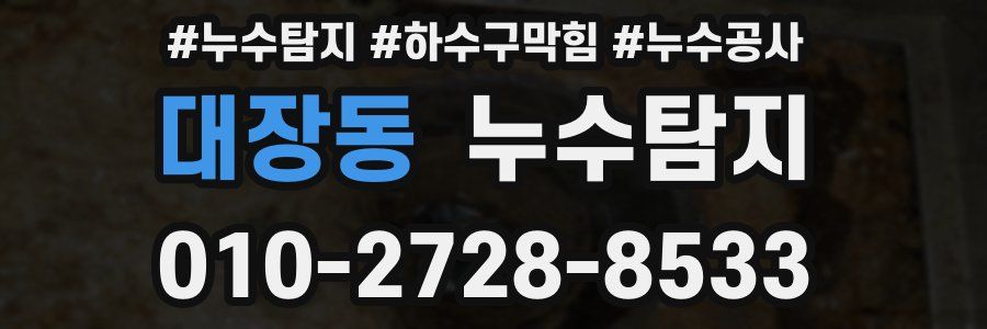 대장동 누수탐지업체