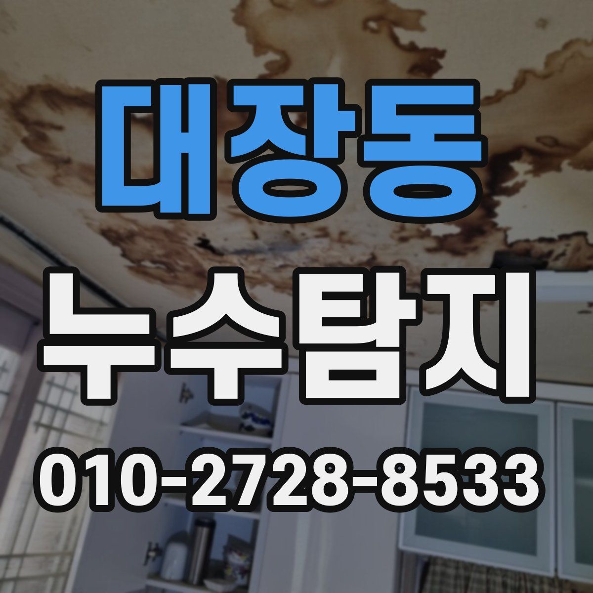 대장동 누수탐지