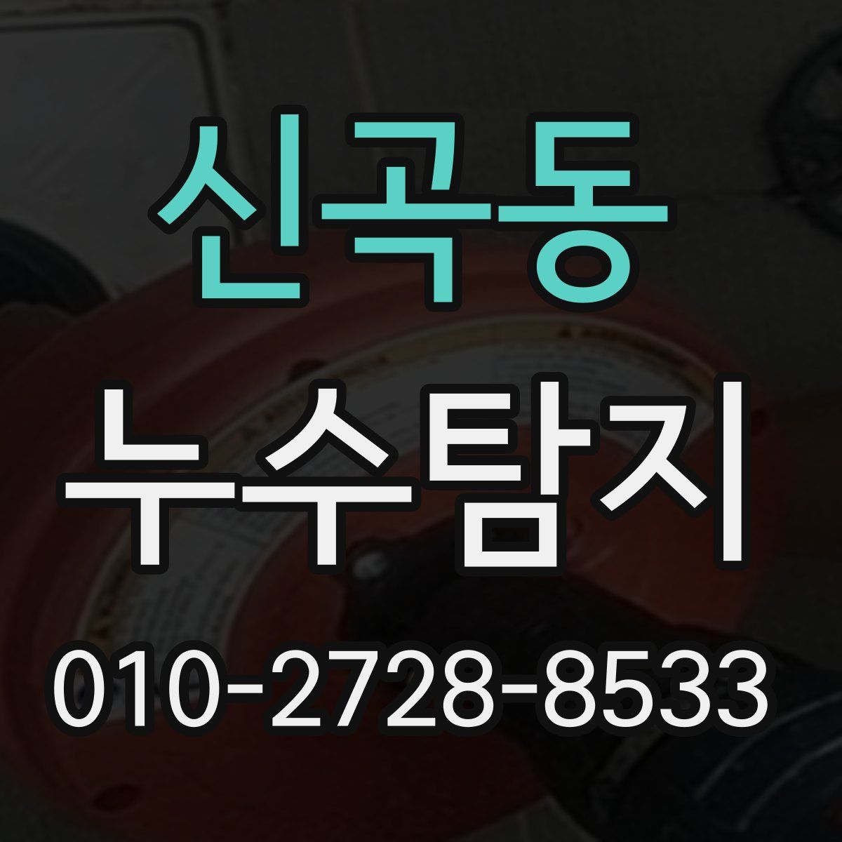 신곡동 누수탐지