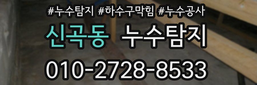 신곡동 누수탐지업체