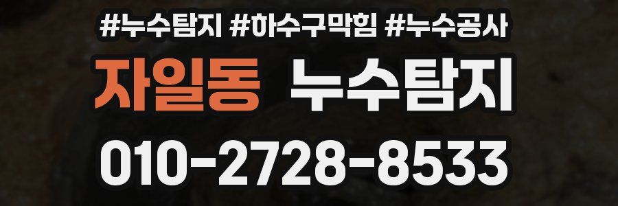 자일동 누수탐지업체