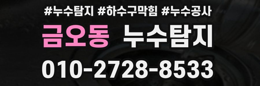 금오동 누수탐지업체