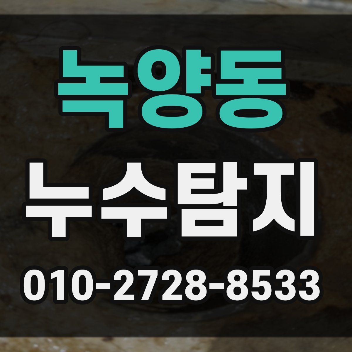 녹양동 누수탐지