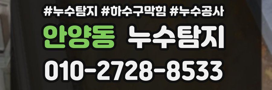 안양동 누수탐지업체