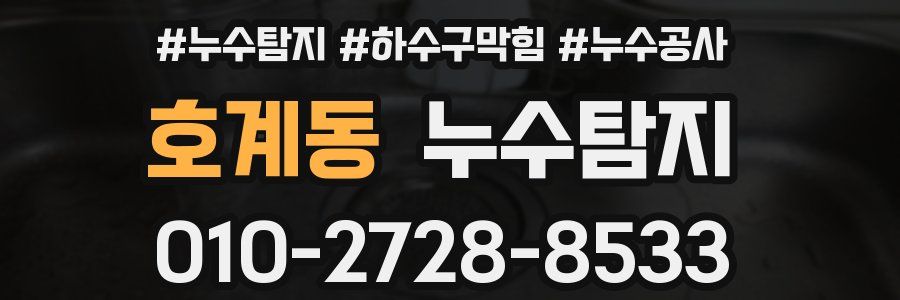 호계동 누수탐지업체