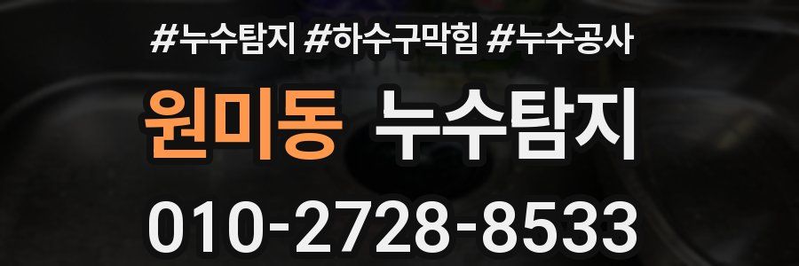 원미동 누수탐지업체