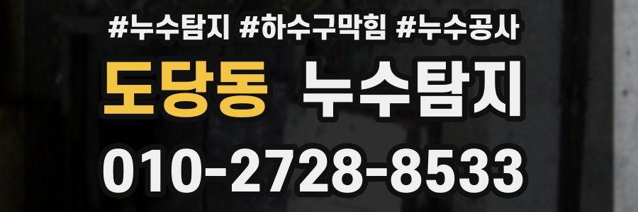 도당동 누수탐지업체