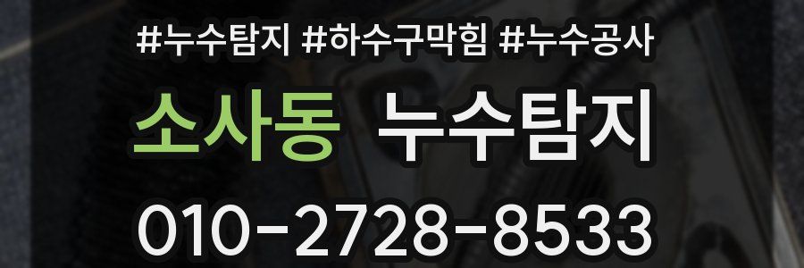 소사동 누수탐지업체