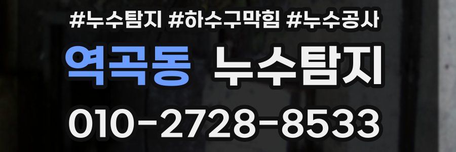 역곡동 누수탐지업체