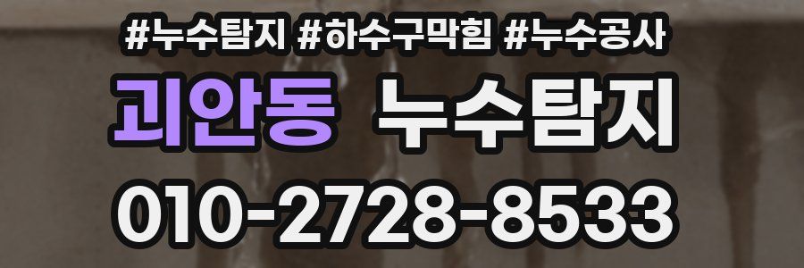 괴안동 누수탐지업체