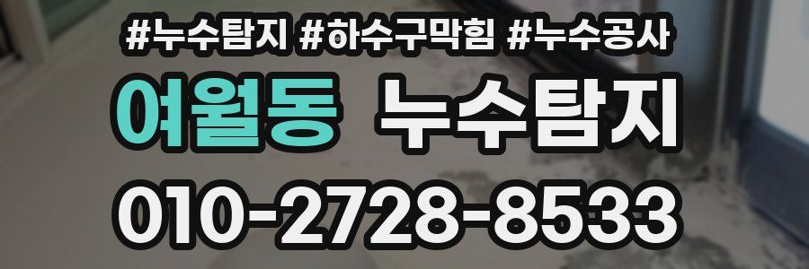 여월동 누수탐지업체