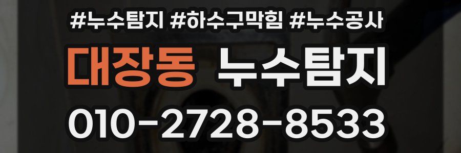 대장동 누수탐지업체