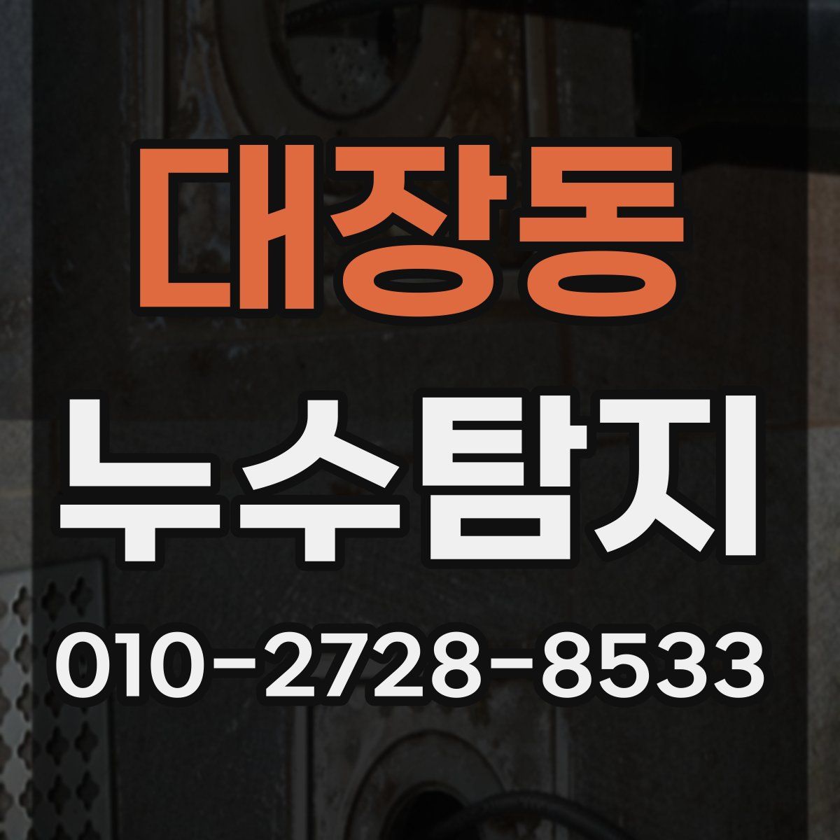 대장동 누수탐지