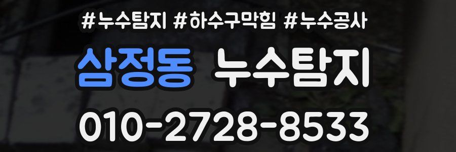 삼정동 누수탐지업체