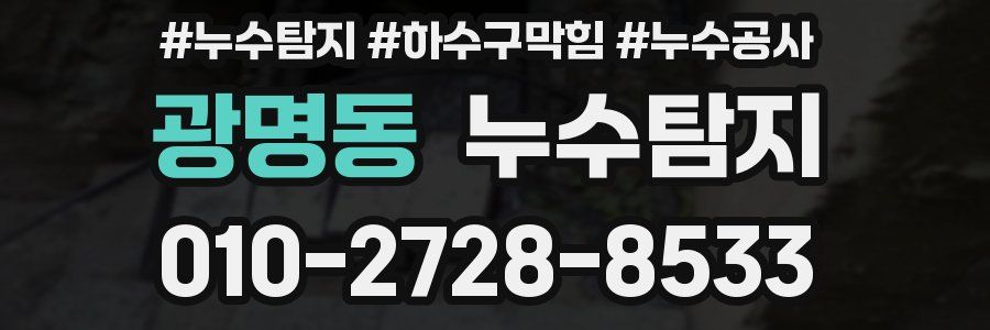 광명동 누수탐지업체