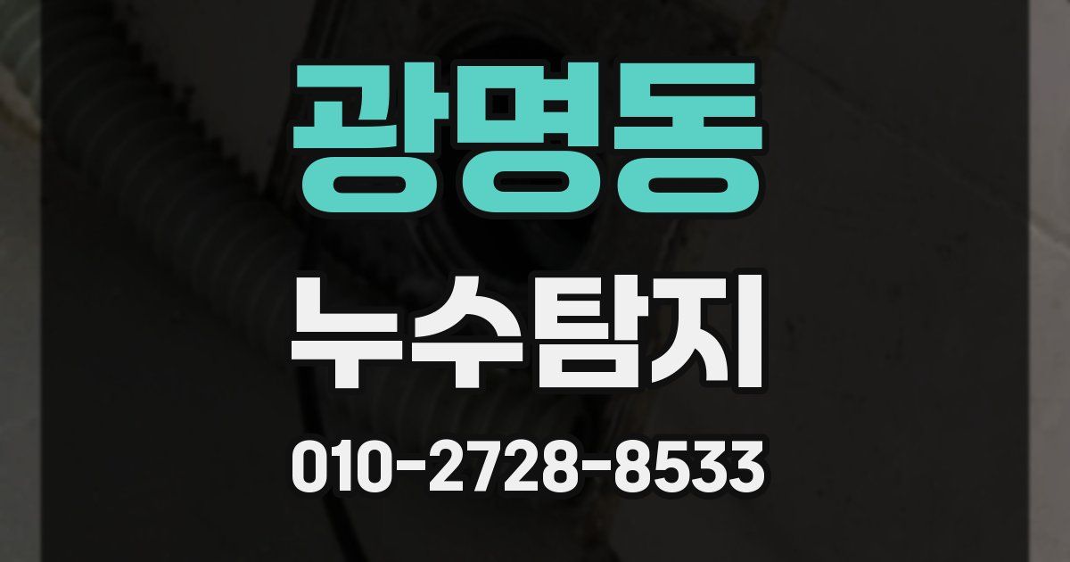 광명동 누수공사