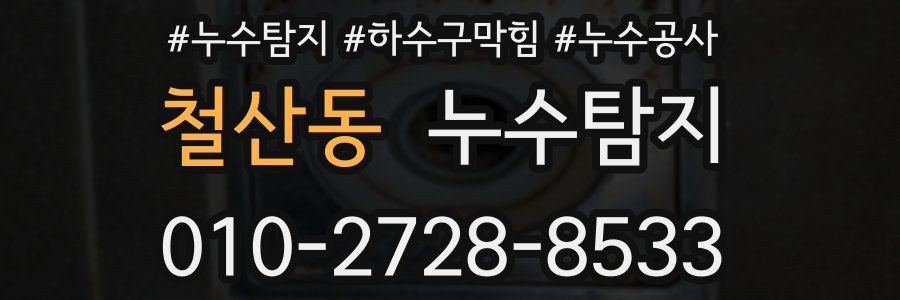 철산동 누수탐지업체