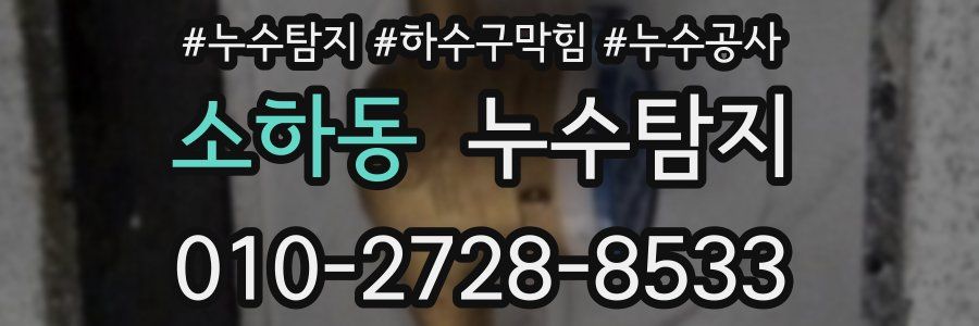 소하동 누수탐지업체