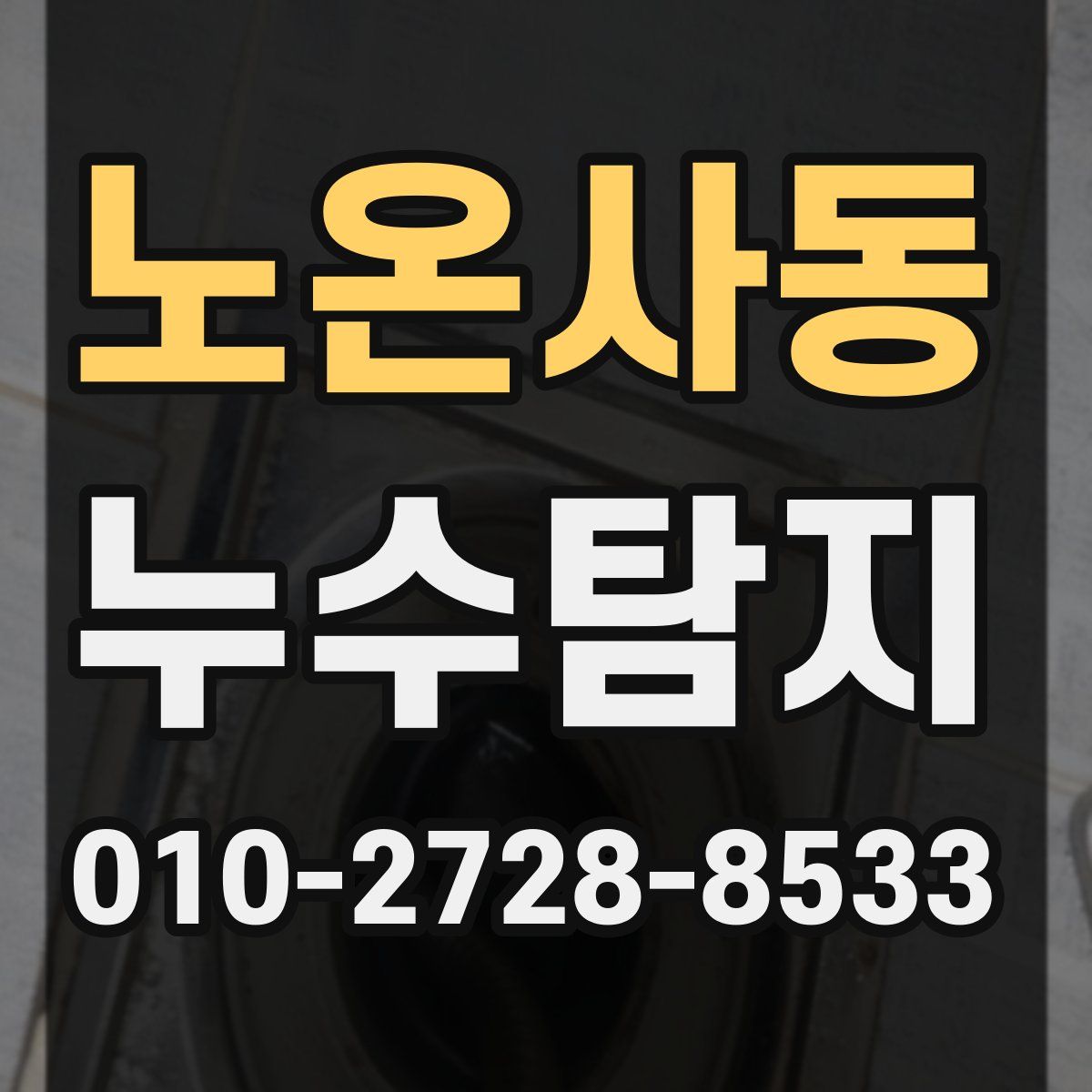 노온사동 누수탐지