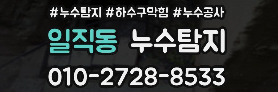일직동 누수탐지업체