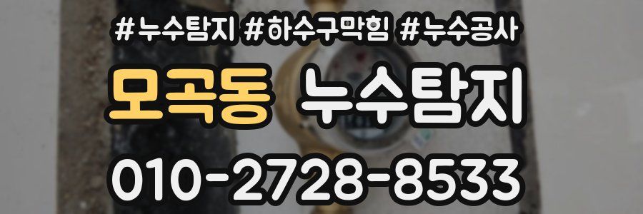 모곡동 누수탐지업체