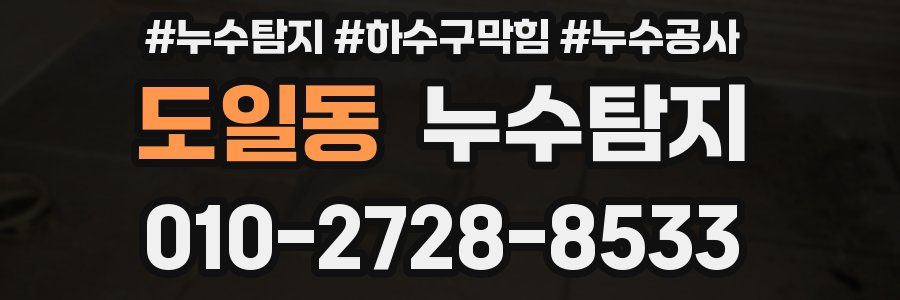 도일동 누수탐지업체