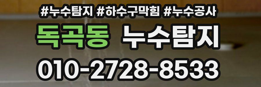 독곡동 누수탐지업체