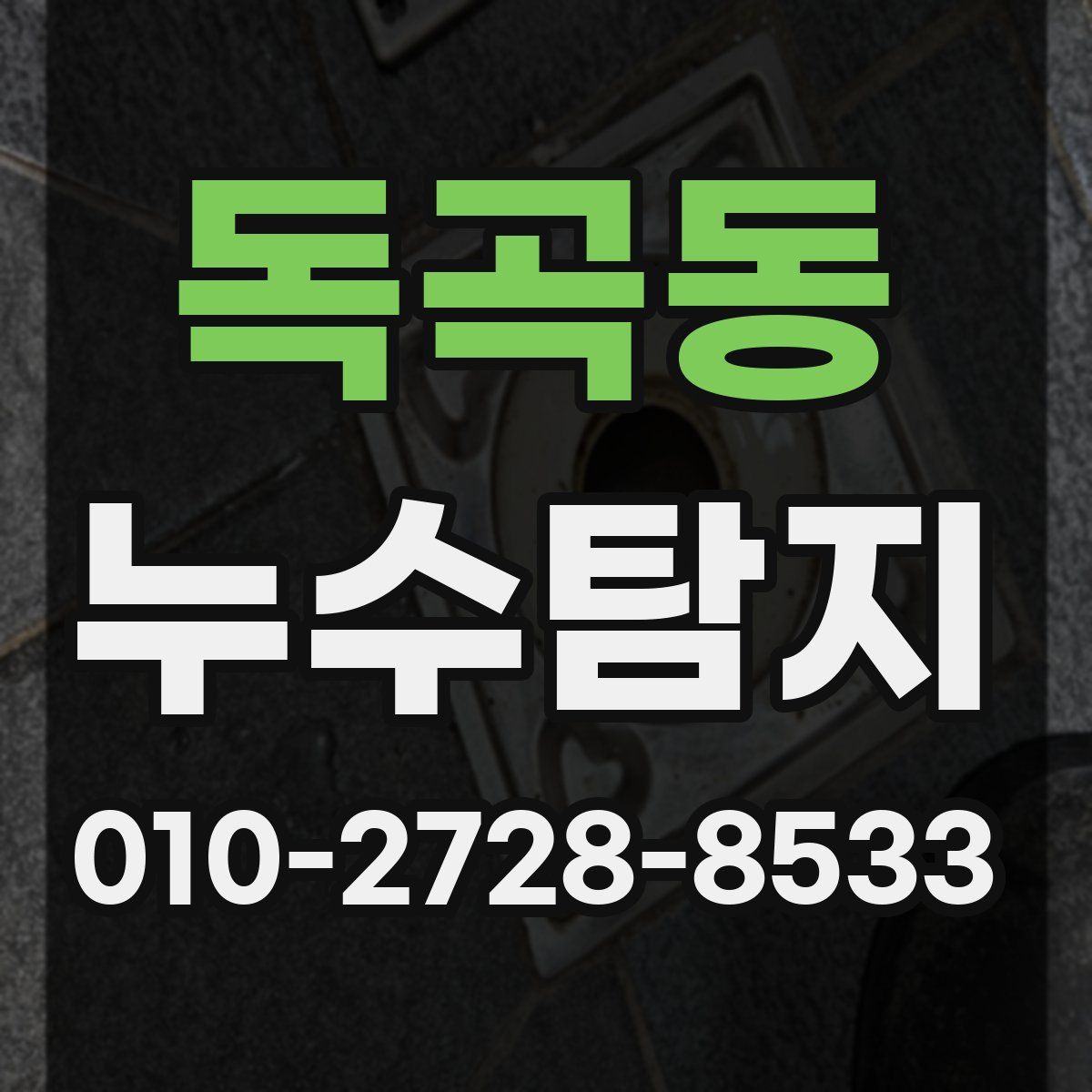 독곡동 누수탐지