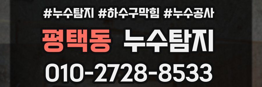 평택동 누수탐지업체