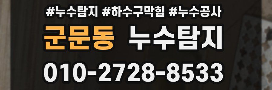 군문동 누수탐지업체