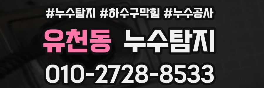 유천동 누수탐지업체