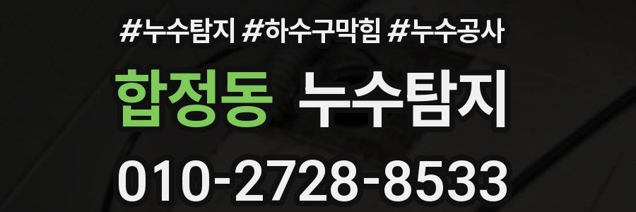 합정동 누수탐지업체