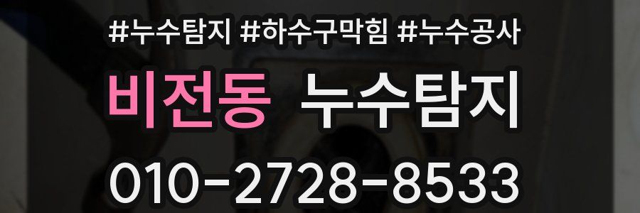 비전동 누수탐지업체