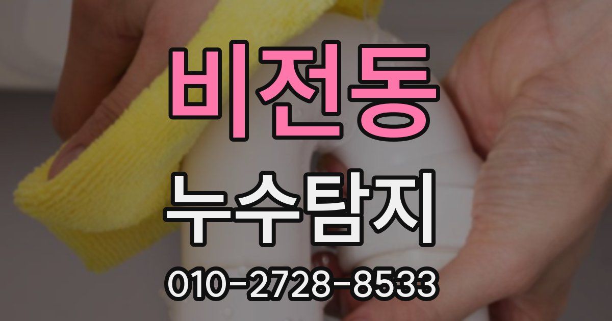 비전동 누수공사