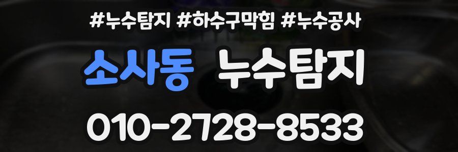 소사동 누수탐지업체