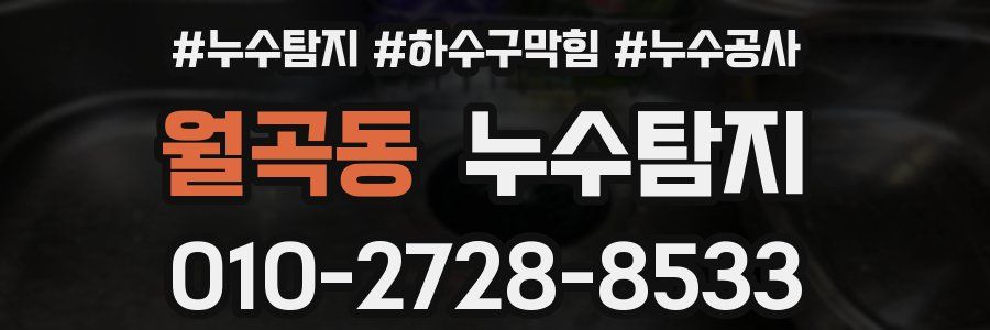 월곡동 누수탐지업체