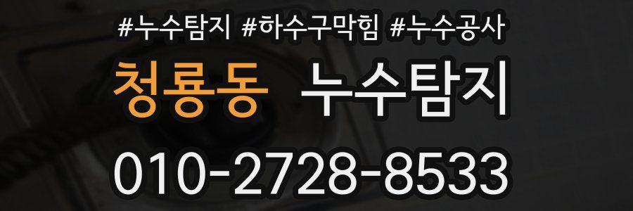 청룡동 누수탐지업체