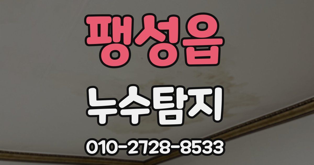 팽성읍 누수공사