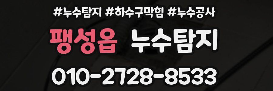 팽성읍 누수탐지업체