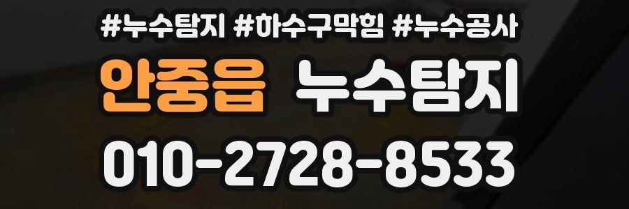 안중읍 누수탐지업체