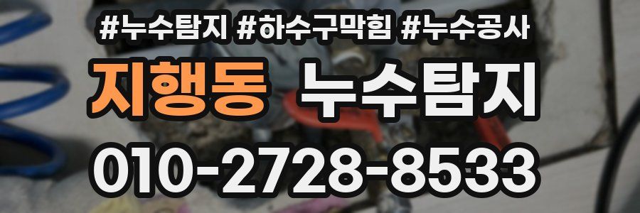 지행동 누수탐지업체