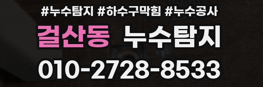걸산동 누수탐지업체