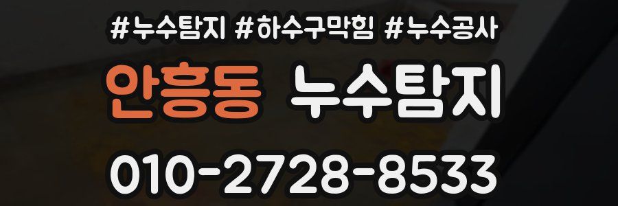 안흥동 누수탐지업체
