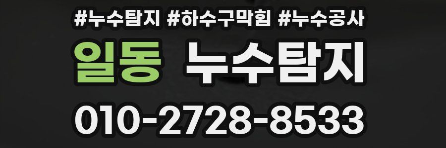 일동 누수탐지업체
