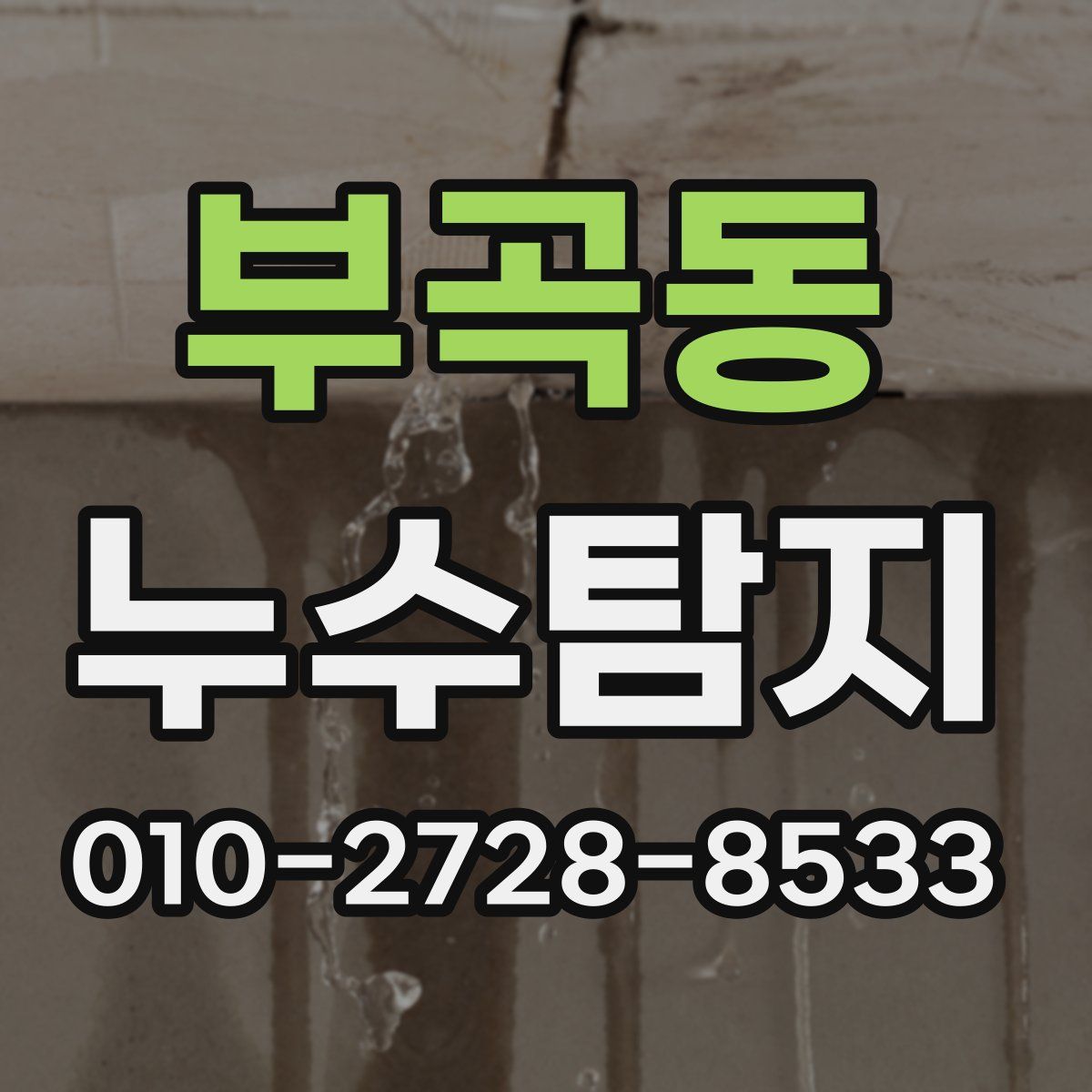 부곡동 누수탐지