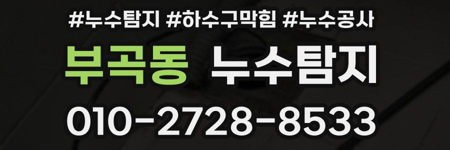 부곡동 누수탐지업체
